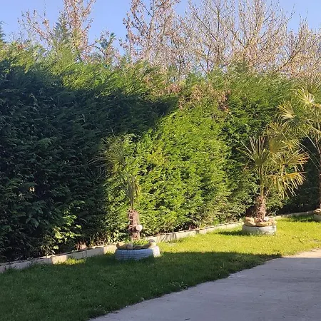 Anima Bed & Breakfast Cervere