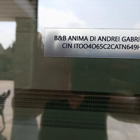 Bed & Breakfast Anima