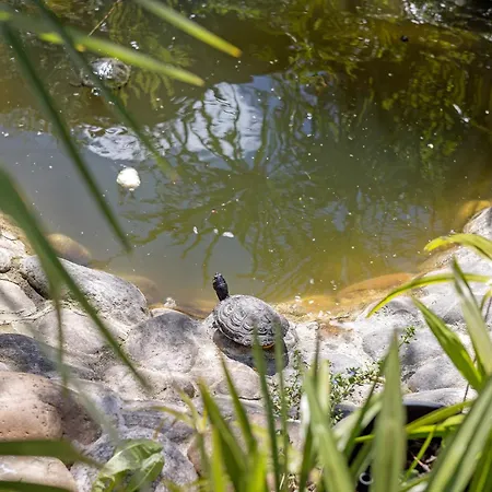 Anima Bed and Breakfast Cervere