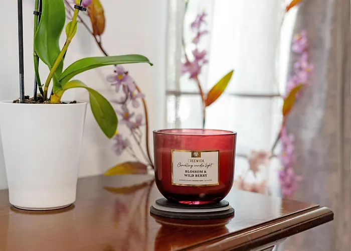 Anima Couette-café 3*