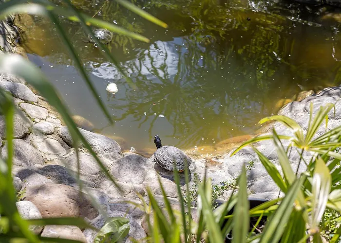 Anima Couette-café Cervere